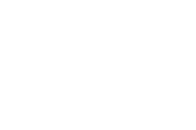 pepsico logo